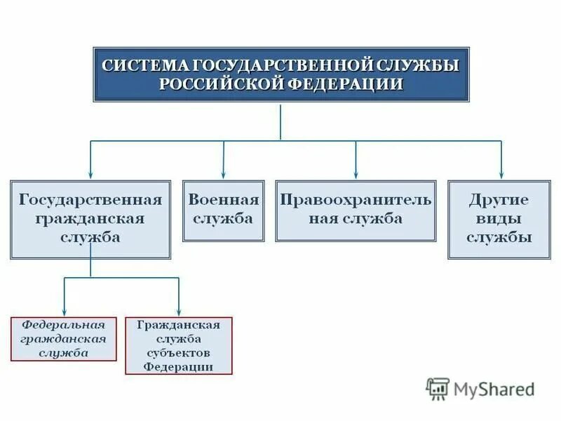 Виды государственной службы. Система государственной службы схема. Система и структура государственной службы в РФ. Структура государственной службы РФ. Виды государственной гражданской службы Российской Федерации.