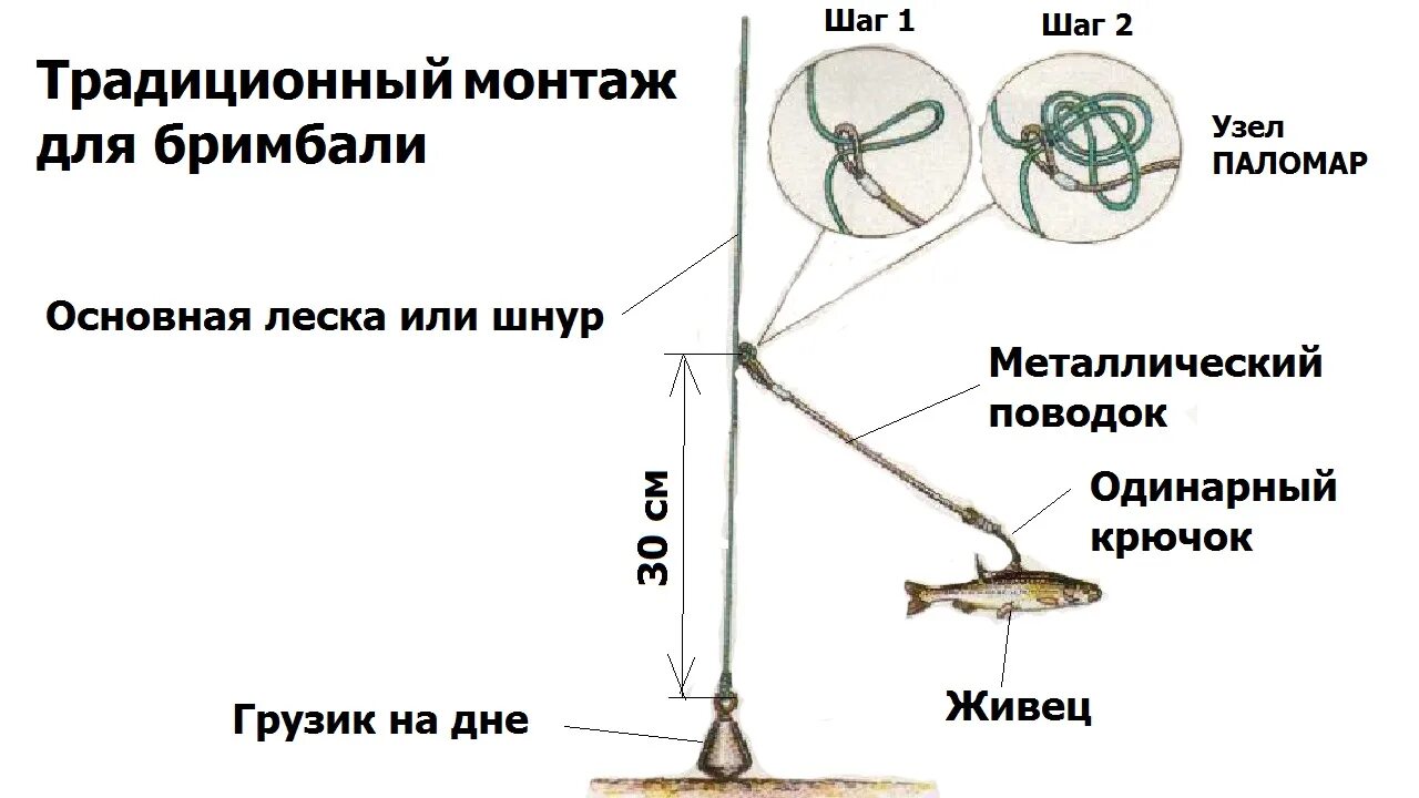 Правильная жерлица на щуку