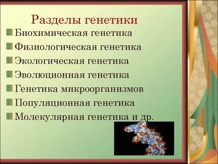 Генетика как отрасль биологической науки
