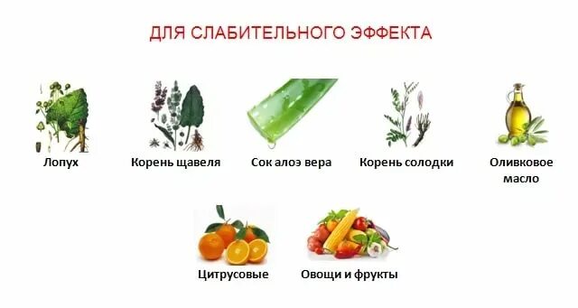 Вред слабительных. Продукты которые слабят. Слабительные фрукты и овощи. Хорошие слабительные продукты. Продукты оказывающий сдабитедьныц эффект.