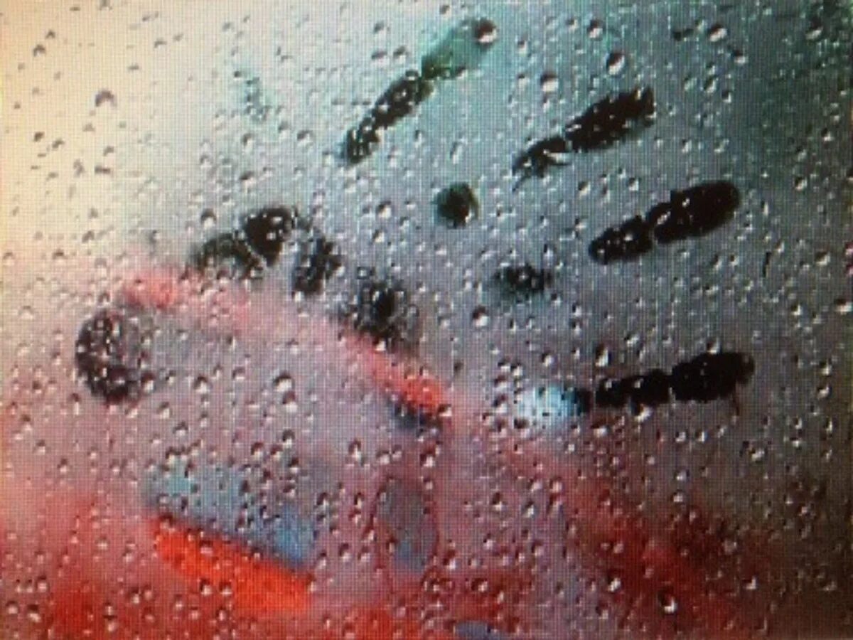 Запотевает стекло в дождь. Запотевшее стекло в машине. Дождь на стекле машины. Капли дождя на стекле авто. Сердечко на стекле машины дождь.