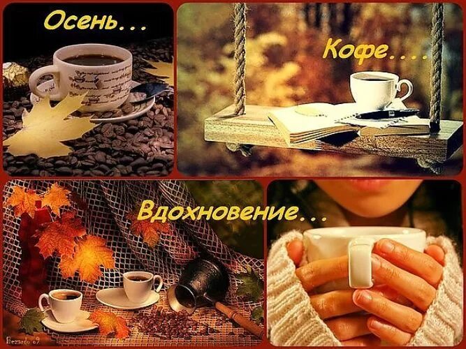 Осень кофе аромат. Осеннее утро и кофе. Кофе осенью. Осенняя чашечка кофе. Осень кофе аромат.