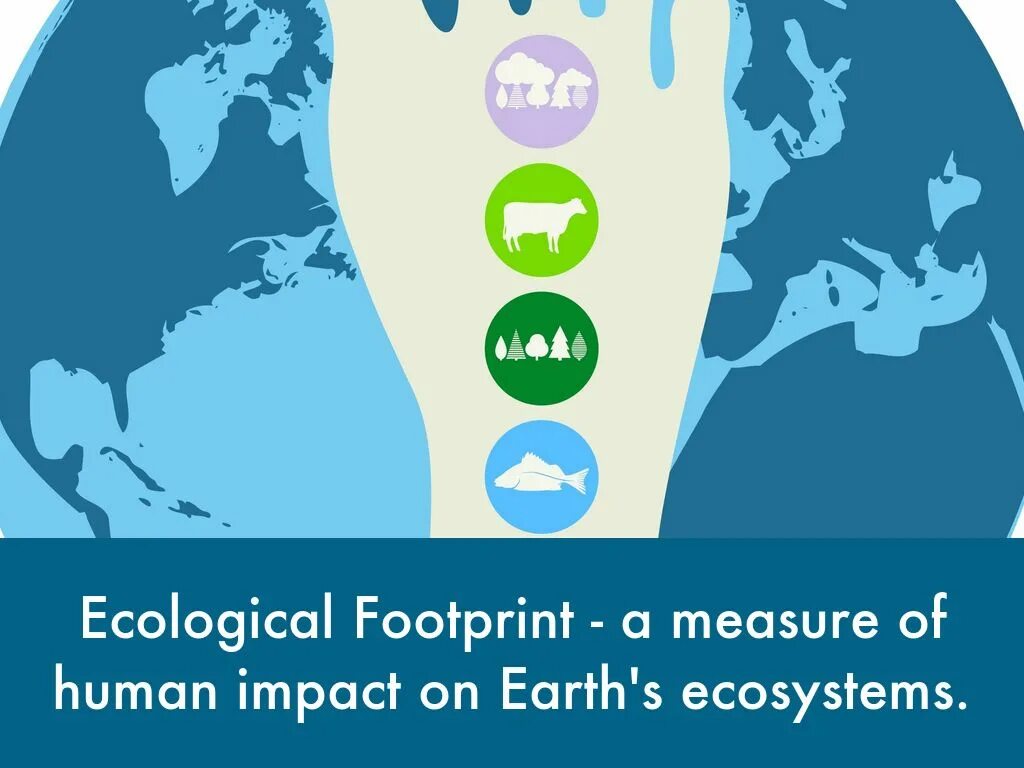 Ecological footprint. Экологический след рисунок. Эко след. Экослед. Следы.