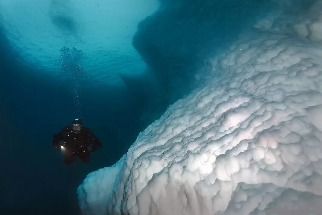 На дне ледовитого океана