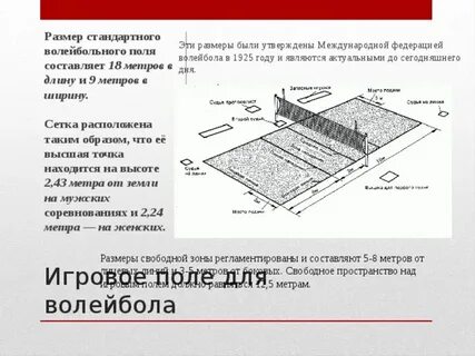 Размер стандартного волейбольного поля составляет