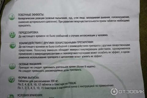 Эхинацея побочные