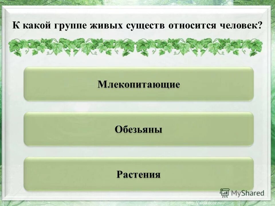 тест солнечный свет на земле 5. тест солнечный свет на земле 5. распределение солнечного света и тепла на земле. итоговый тест. интересная информация о солнце.