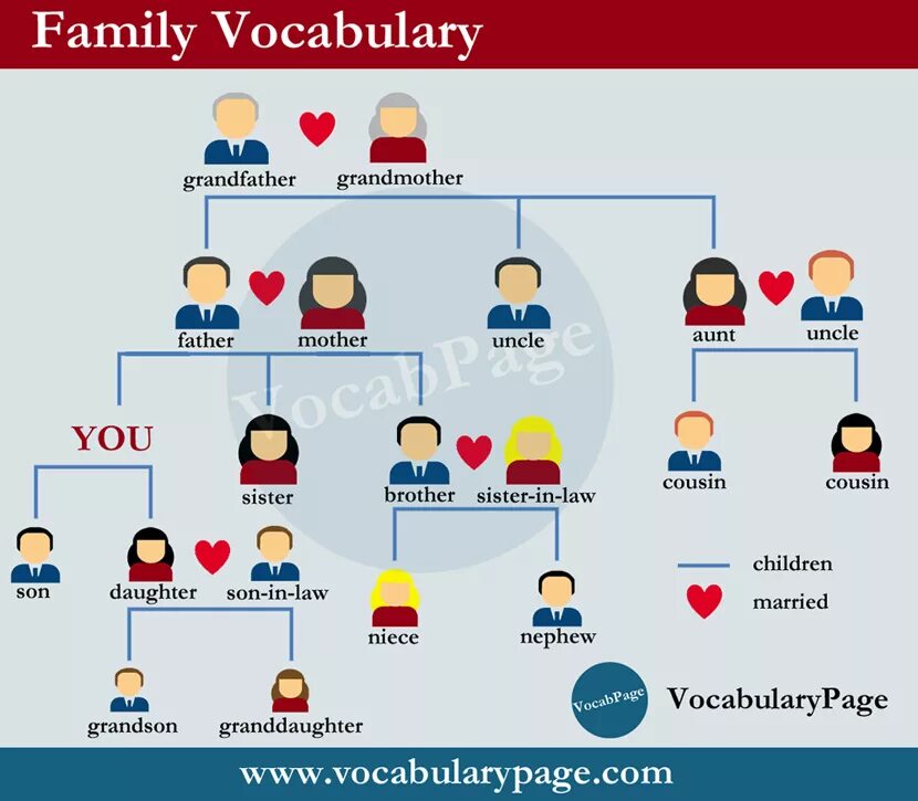 Related vocabulary. Family Vocabulary. Family Vocabulary английский. Семья на английском. Family Words Vocabulary.
