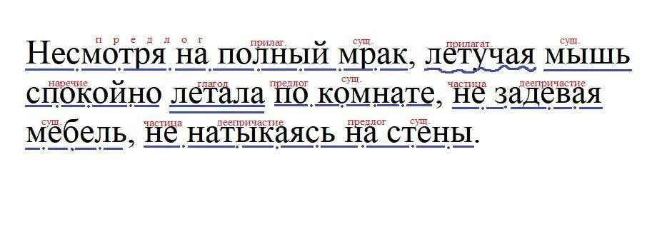 Самой разбор. Несмотря на полный мрак разбор. Синтаксический разбор летучая мышь. Предложения с несмотря на.