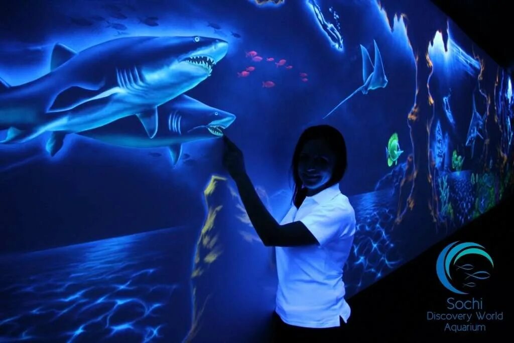 Сочи, океанариум Sochi Discovery World Aquarium. Сочи Дискавери ворлд аквариум. Адлер Ленина 219 океанариум. Краснодарский край Сочи улица Ленина 219а/4 Sochi Discovery World Aquarium.