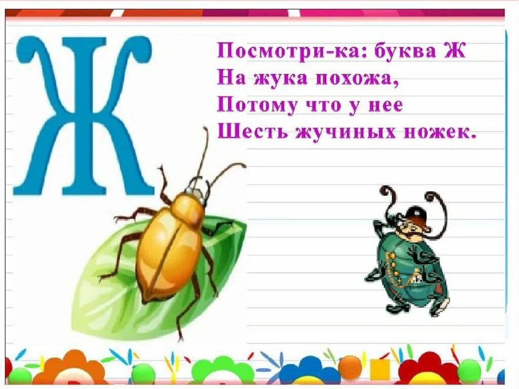 У жука 6 лапок. Звук ж буква ж. Буква ж презентация 1 класс. Урок буква ж для дошкольников. Буква ж звук ж занятие для дошкольников.