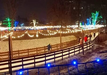 Белгород каток фото