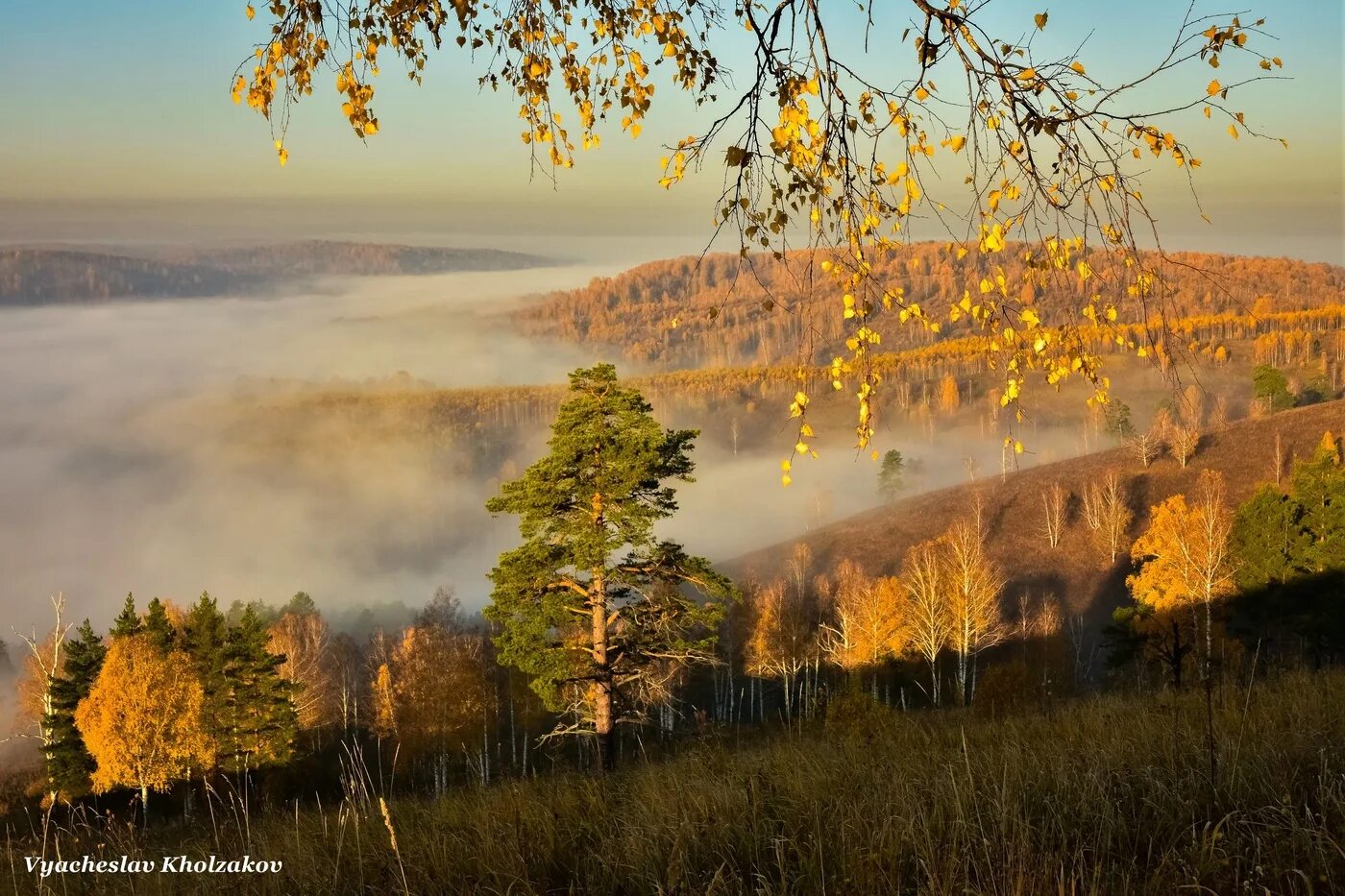 Утро осень. Туманное осеннее утро. Утренний осенний пейзаж. Осенняя дымка.