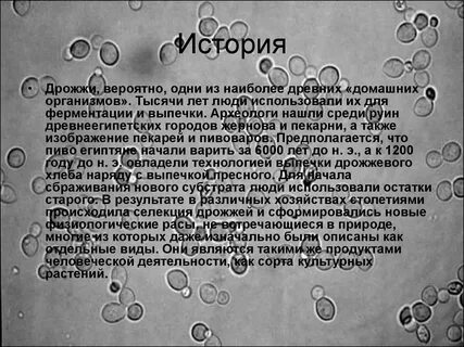 Дрожжи углекислый