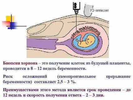 Время биопсии