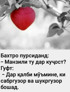 Тахмина твоя любовь