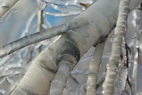 Ледяной дождь причины возникновения