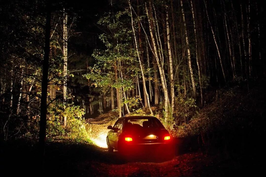 Машина темным лесом