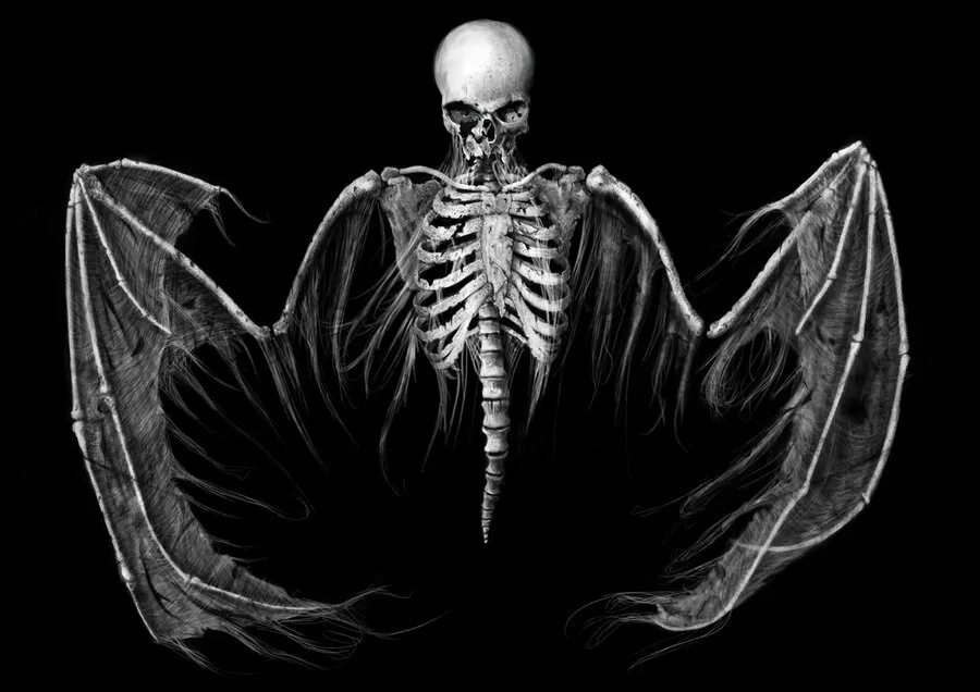 Скелет с крыльями. Скелет c rhskmtvb. Скелет чб.