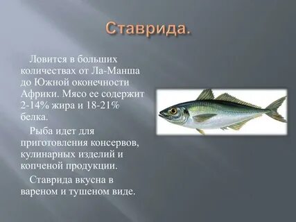 Характеристика мяса рыбы