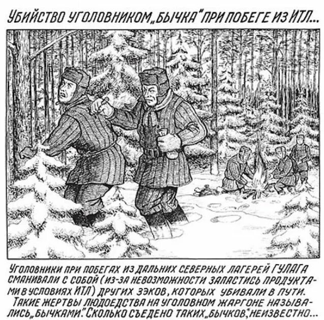 Советские пытки. Данцига Балдаева рисунки из ГУЛАГА. Рисунки Данцига Балдаева о ГУЛАГЕ. Рисунке Балдаева о ГУЛАГЕ.