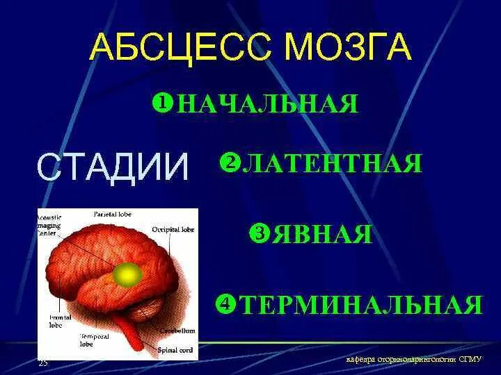 Абсцесс мозга. Стадии формирования абсцесса мозга. Абсцесс головного мозга симптомы. Абсцесс мозга неврология.