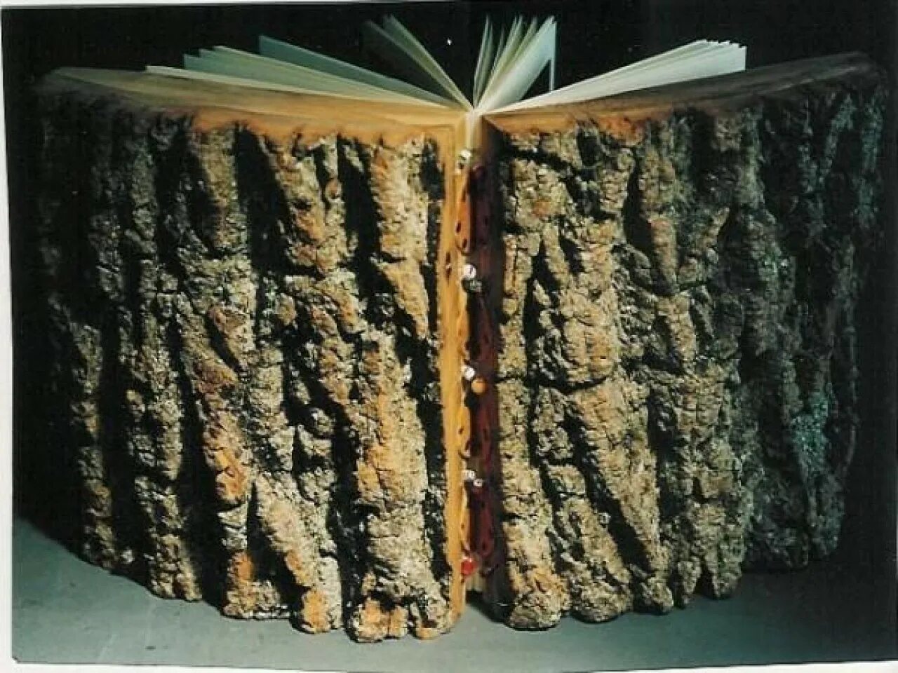 Unusual book