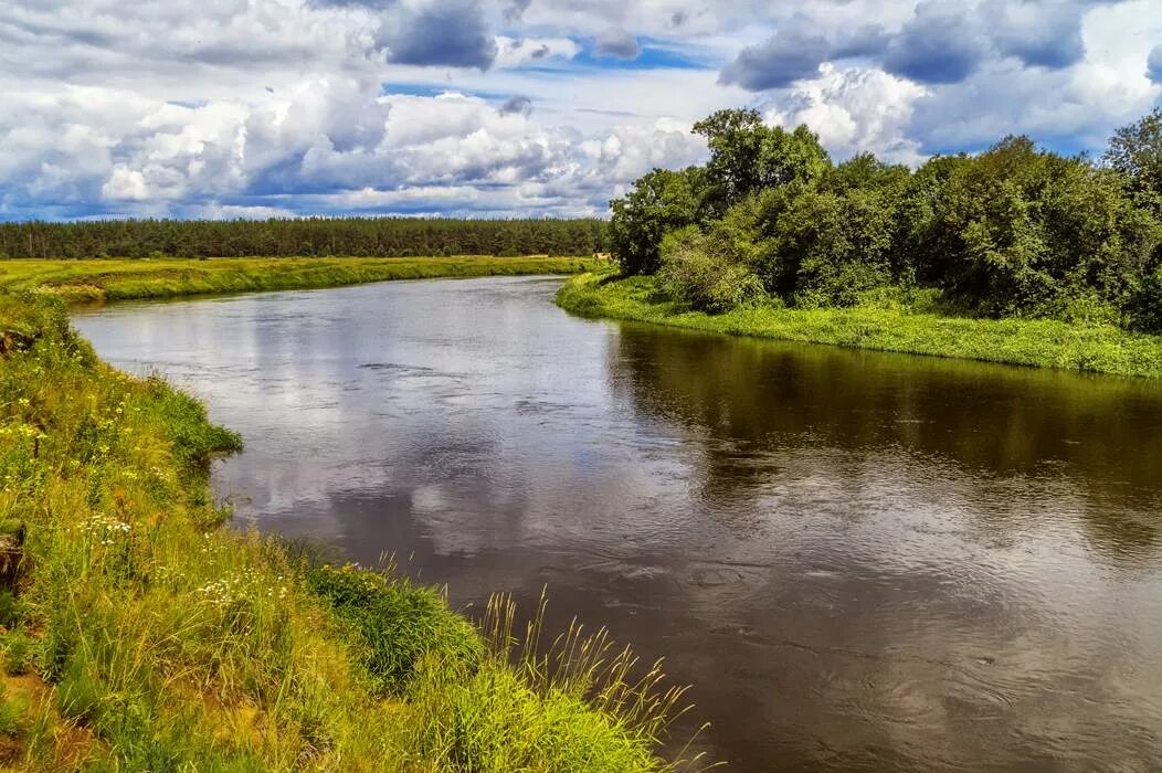 Водный берег 2. Берег реки Клязьмы. Река Клязьма обрывистый берег. Берег реки Клязьма РВ. У реки два берега.