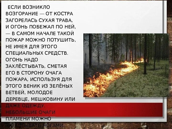 Верховой пожар беглый и и устойчивый. Основным виновником лесных пожаров является человек. Низовой лесной пожар. Выберите из предложенных вариантов причины образования селей. Верховой беглый лесной пожар.