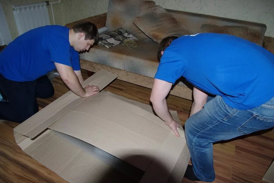 семья в новой квартире. погрузка и разгрузка. автоперевозки грузов. способы переезда. способы переезда.