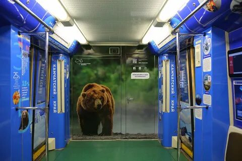 Поезд камчатский