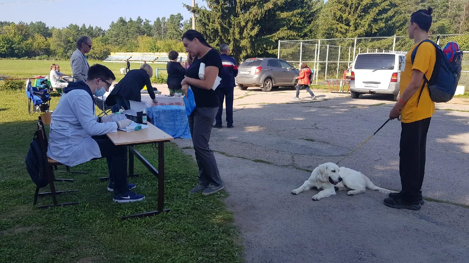 Выставка собак ульяновск. Собачья выставка. На выставке собак. Ветеринарный мониторинг. Ветеринарное обслуживание служебных собак.