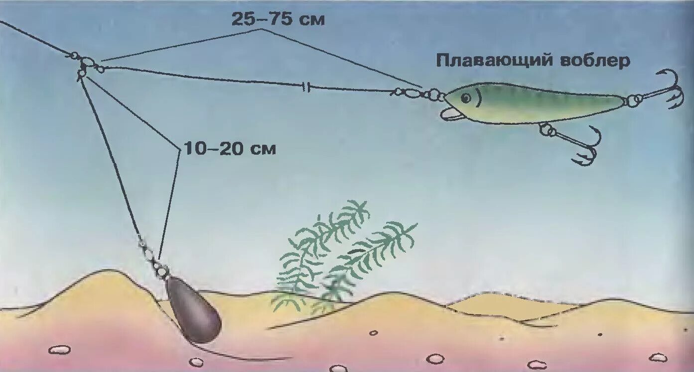 Донное т