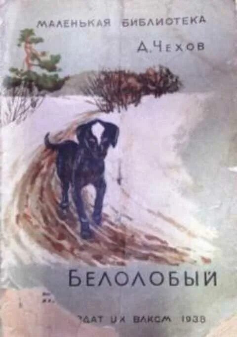 Белолобый Чехов. Чехов а.п. "белолобый". Аннотация белолобый Чехов. Чехов белолобый сюжет.