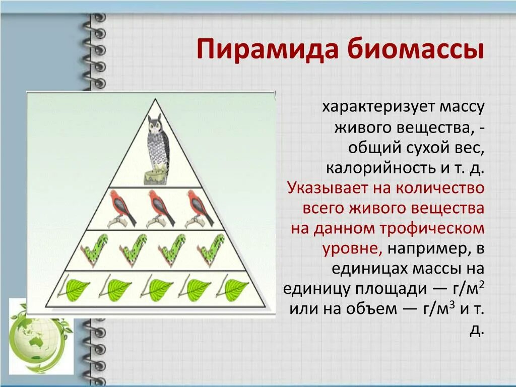 Постройте пирамиду чисел пищевой цепи. Пирамида биомассы. Экологические пирамиды пирамида биомасс. Пирамида чисел пирамида биомассы пирамида таблица. Пирамида биомассы по н ф Реймерсу 1990.