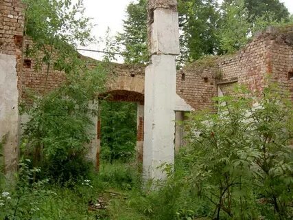 Погода в пленицино шаховской