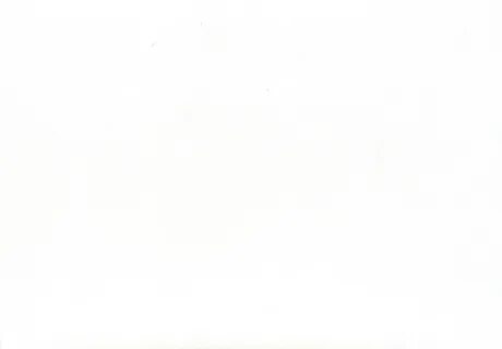 Белое фото фон без рисунка.