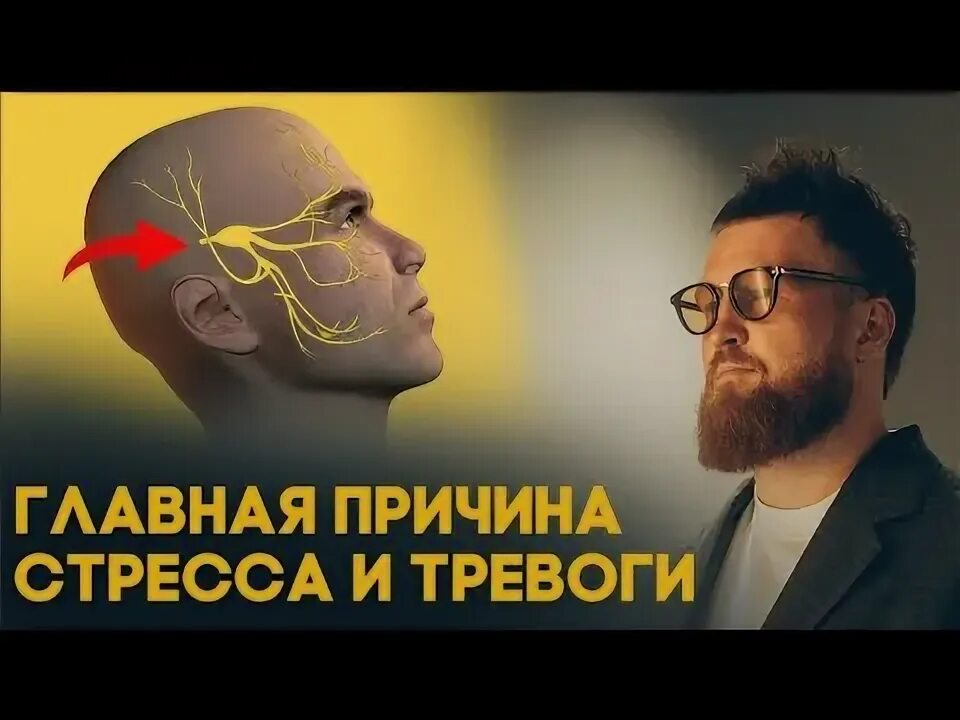Как убрать тревогу из головы. Как убрать тревогу из головы