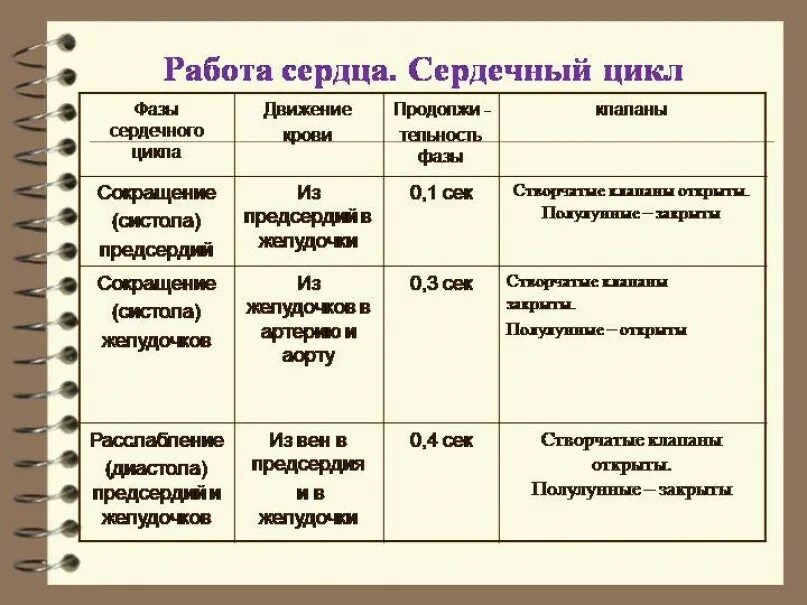 1 Фаза сердечного цикла таблица. Фазы работы сердца схема. Таблица фазы работы сердца 8 класс. Таблица сердечный цикл 8 класс биология.