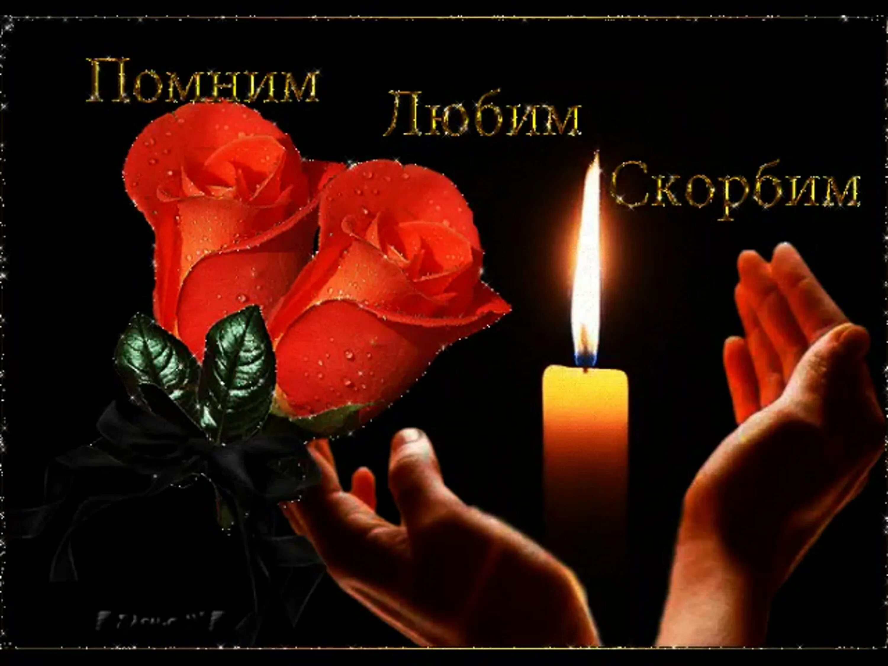 Картинка помню люблю. Помним любим скорбим. Вечная память скорбим и помним. Вечная память помним любим скорбим. Светлая память.