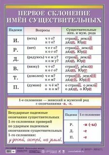 Племя склонение 1 2 3