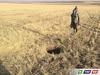 Посреди поля образовалась стена