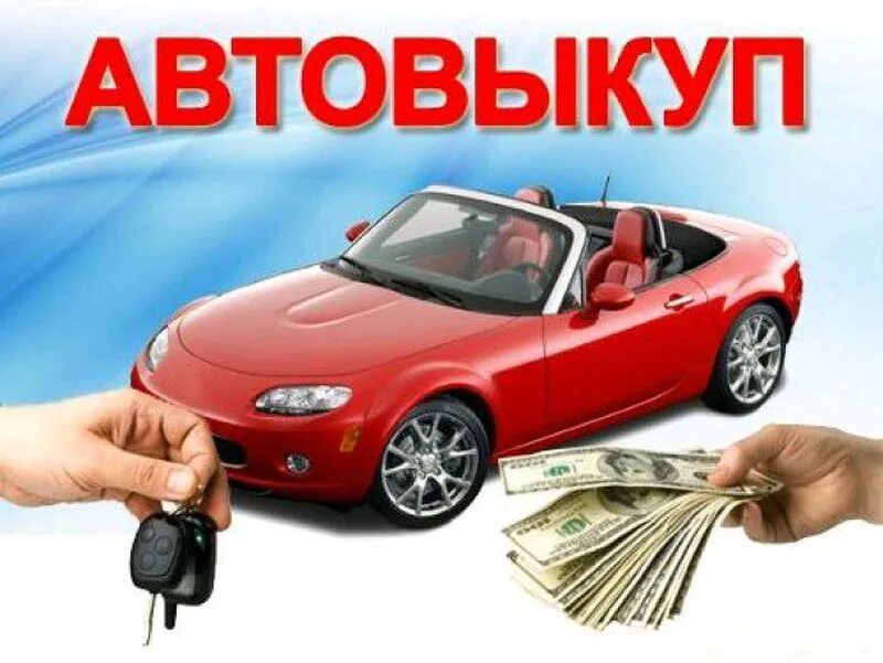 Автовыкуп область. Выкуп авто. Срочный выкуп авто. Автовыкуп авто. Выкуп машин.