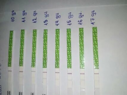 Забеременеть па до овуляции