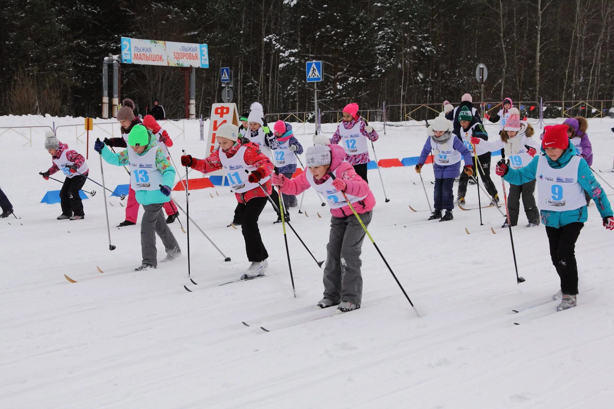 лыжник гто. лыжные гонки нормативы гто. лыжник гто. лыжные гонки нормативы гто. гто лыжи.