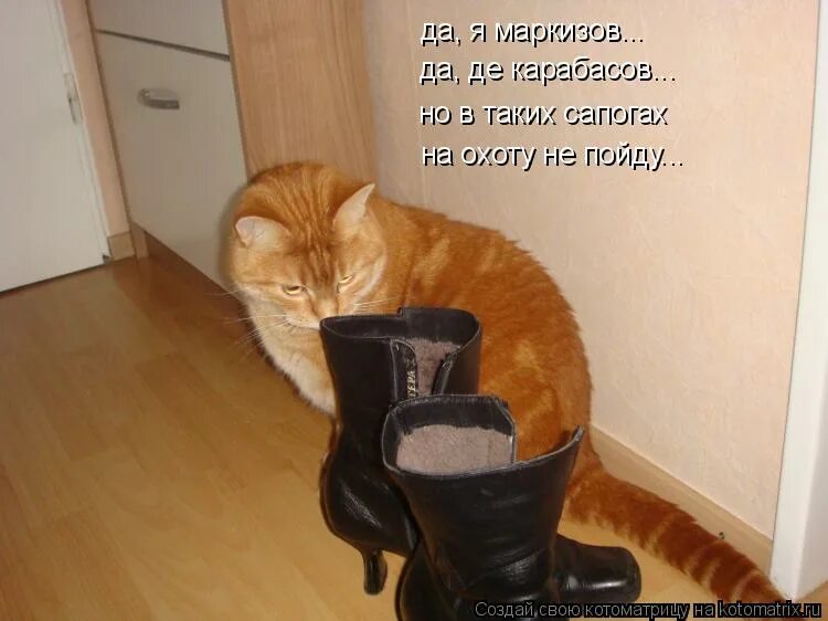 гости картинки прикольные. к вам можно картинки. приходите в гости. пришла в гости к парню. две подружки в одной комнате.