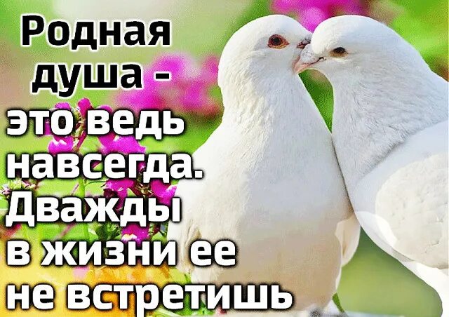Друг это ведь навсегда