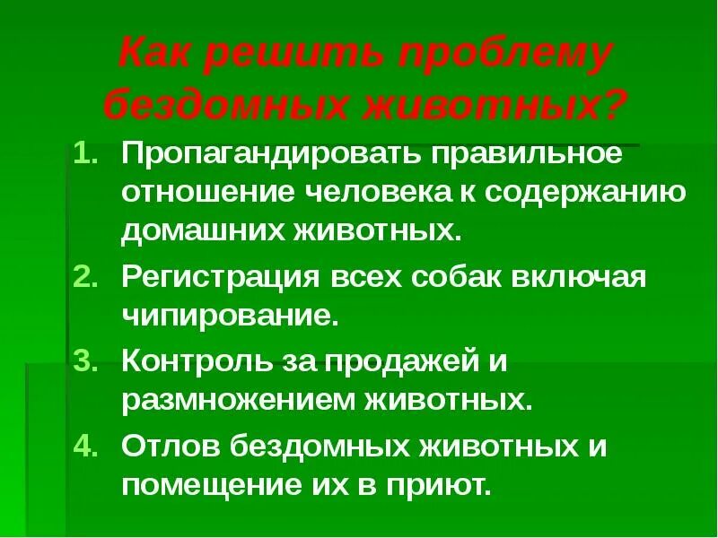 Проблема отношения человека к животным. Как решить проблему бездомности. решение проблемы бездомных животных. как решить проблему с бездомными животными. как решить проблему бродячие животные.
