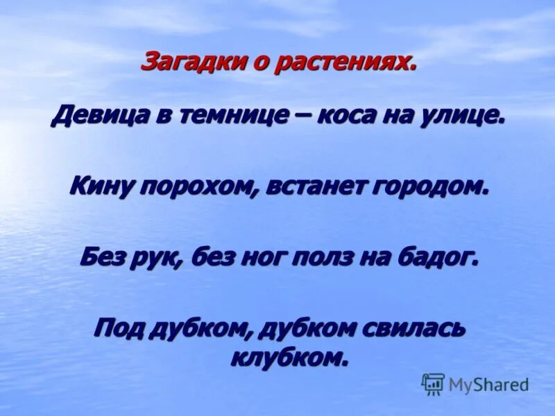 Под дубком свилась клубком. Загадка а коса на улице. под дубком дубком свилась клубком и с хвостиком загадка. девица в темнице а коса.