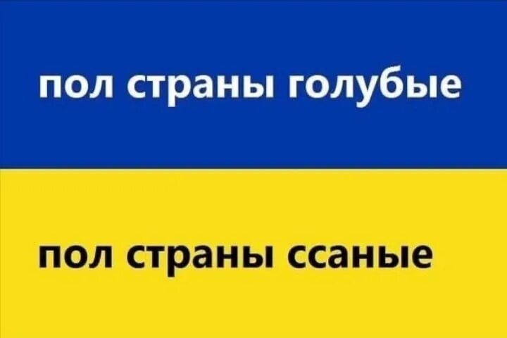 Хохлы дауны. Флаг Хохлов. Флаг Украины и Дауна. Хохлы картинки. Полстраны как пишется